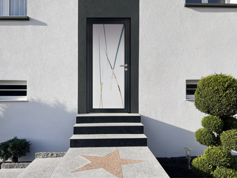 Porte d'entrée parclosé gamme lumière IOTA - Visuel d'ambiance Maison vue d'extérieur assez moderne avec une porte vitrée